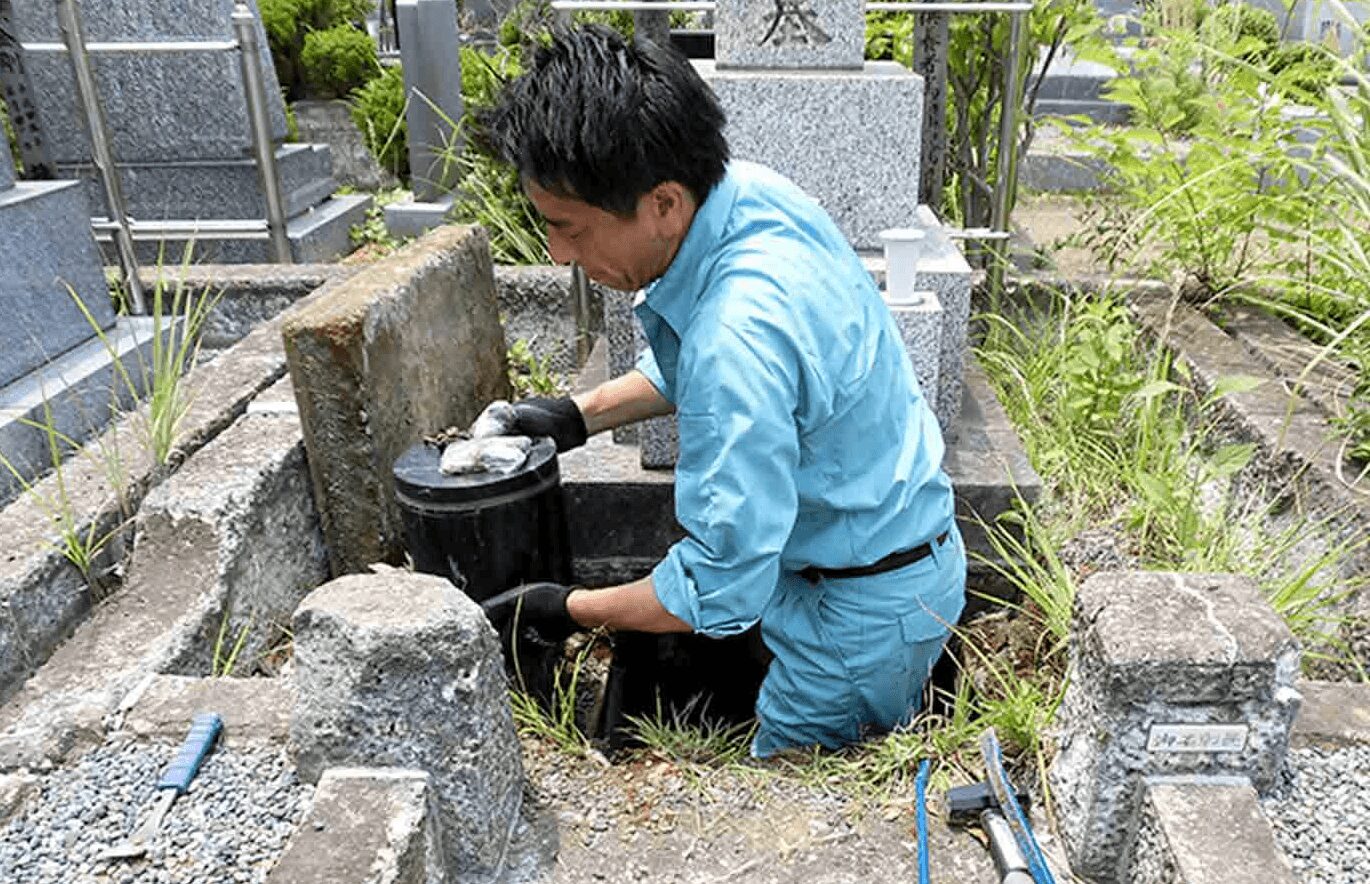 ニチリョクの画像